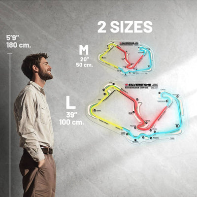 Suzuka International Racing Course Neon Race Track